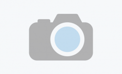 PHƯƠNG PHÁP CHẨN ĐOÁN PHÒNG THÍ NGHIỆM BỆNH LỞ MỒM LONG MÓNG TRÂU BÒ Default Image